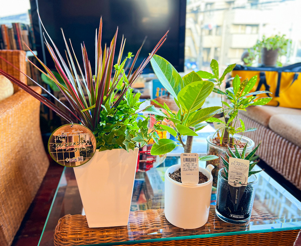 鎌倉ダイビングショップ　店内