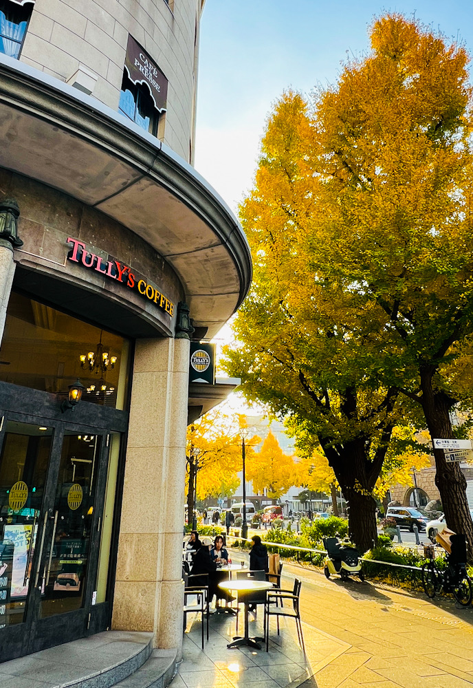 横浜 写真撮影 散歩 みなとみらい 日本大通り いちょう