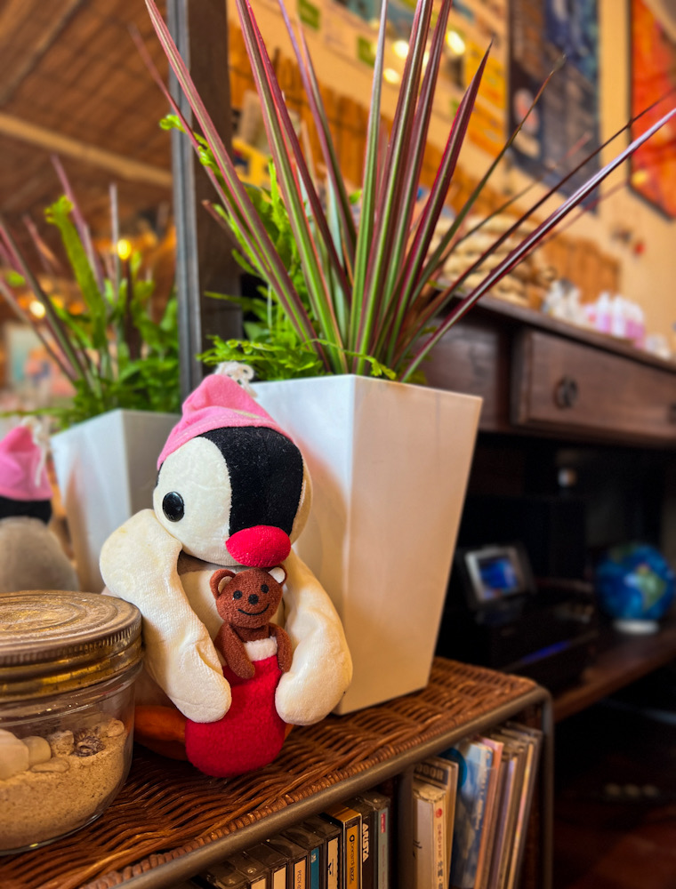 ダイビングショップ クリスマス 飾りつけ