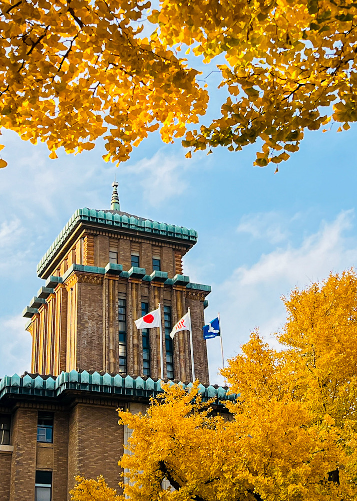横浜 写真撮影 散歩 みなとみらい 日本大通り いちょう