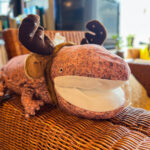 ダイビングショップ　クリスマス　飾りつけ