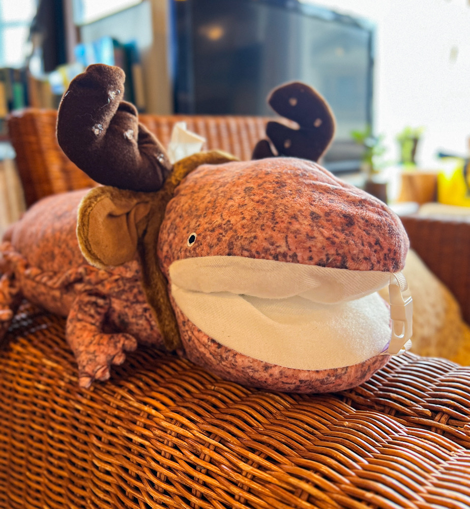 ダイビングショップ クリスマス 飾りつけ