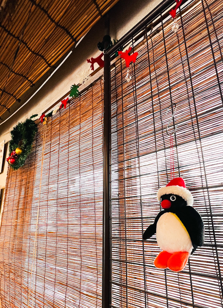 ダイビングショップ クリスマス 飾りつけ