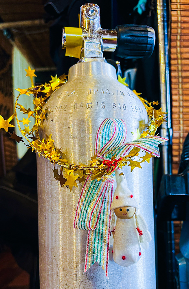 ダイビングショップ クリスマス 飾りつけ