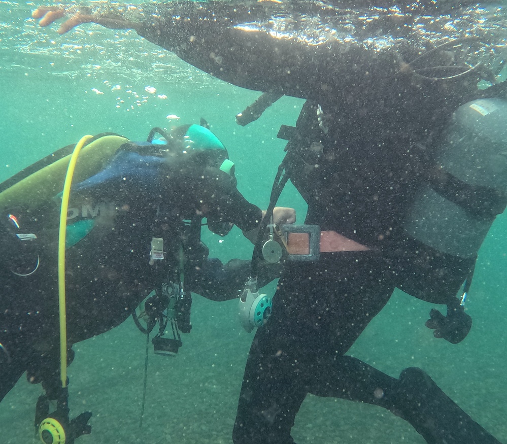 PADIレスキュダーバーコース　パニックダイバーの対応　講習