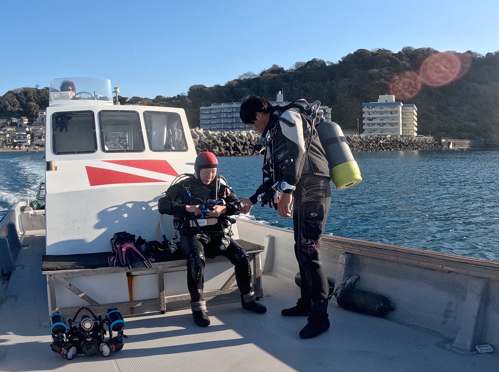 逗子　ダイビング　鎌倉沖　ムギワラエビ