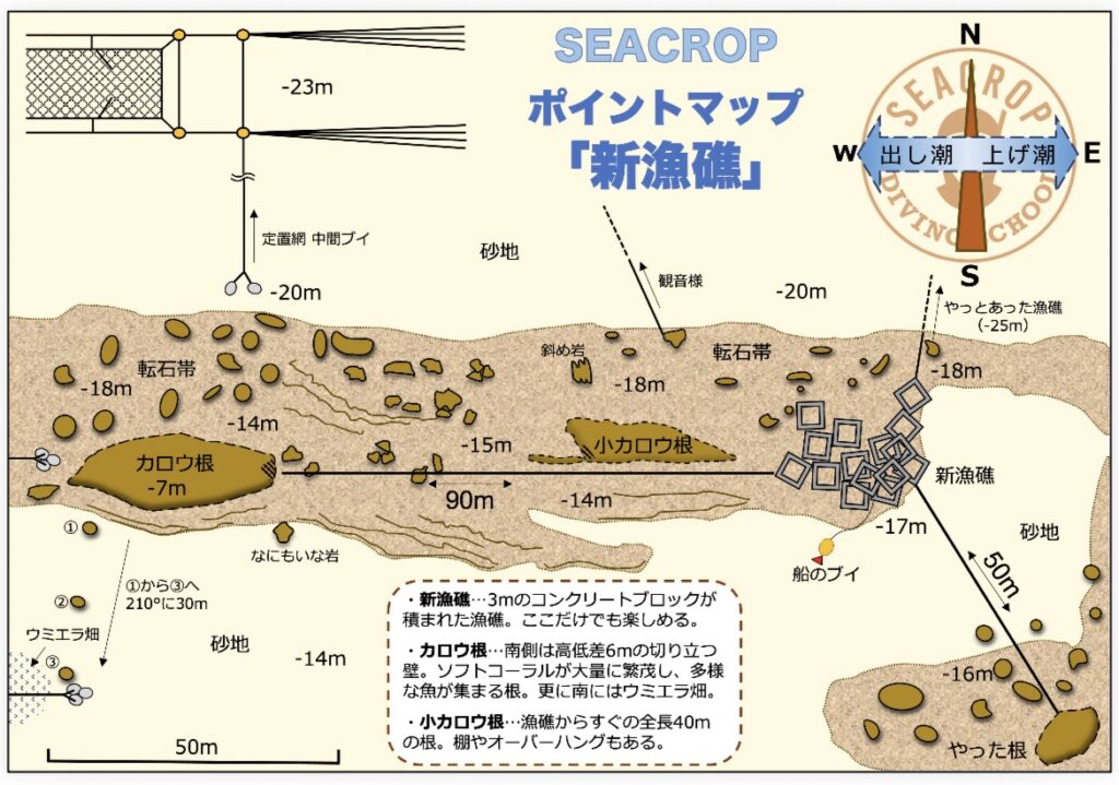 千葉県　坂田　ダイビングポイント　ザトウクジラの骨　ジャクマイヨール