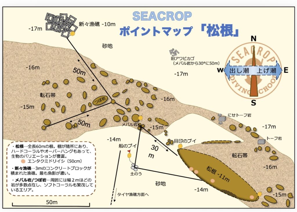 千葉県　坂田　ダイビングポイント　ザトウクジラの骨　ジャクマイヨール