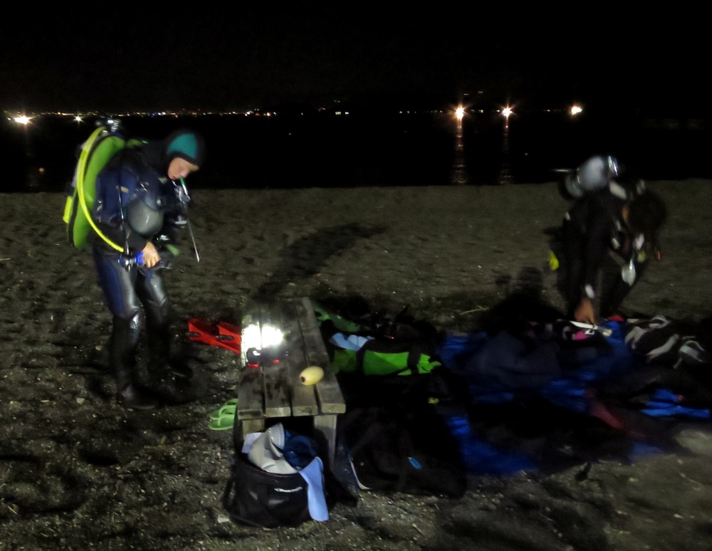 ナイトダイビング　伊豆　大瀬崎