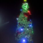 ナイトダイビング　伊豆　大瀬崎