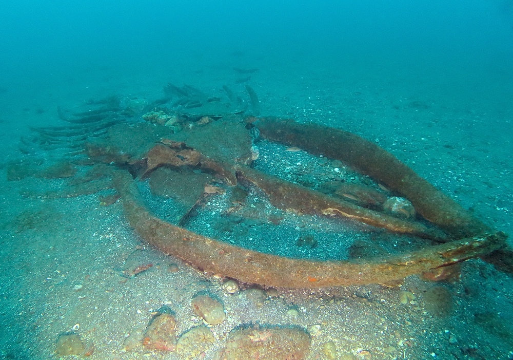 千葉県　坂田　ダイビングポイント　ザトウクジラの骨　ジャクマイヨール