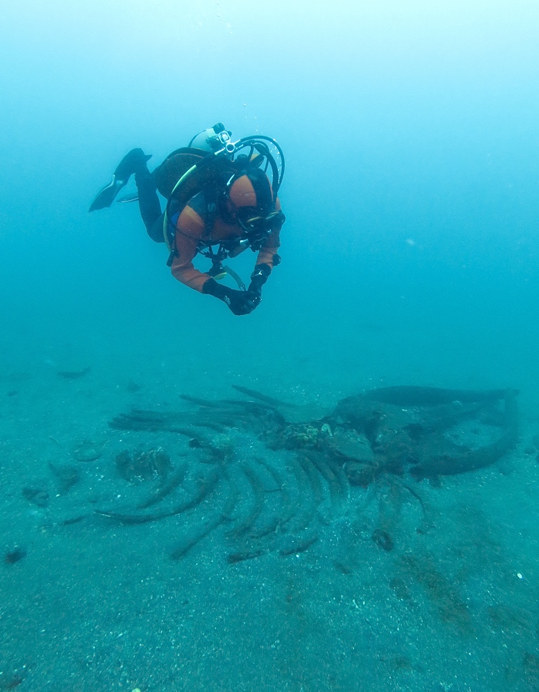 千葉県　坂田　ダイビングポイント　ザトウクジラの骨　ジャクマイヨール