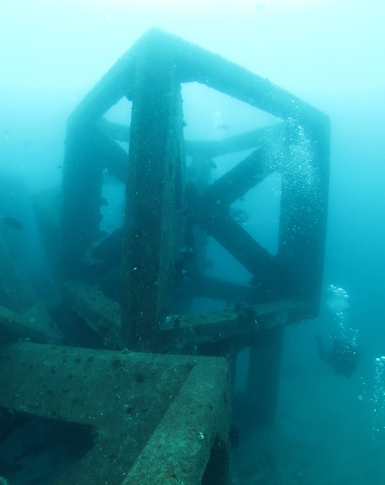 千葉県　坂田　ダイビングポイント　ザトウクジラの骨　ジャクマイヨール