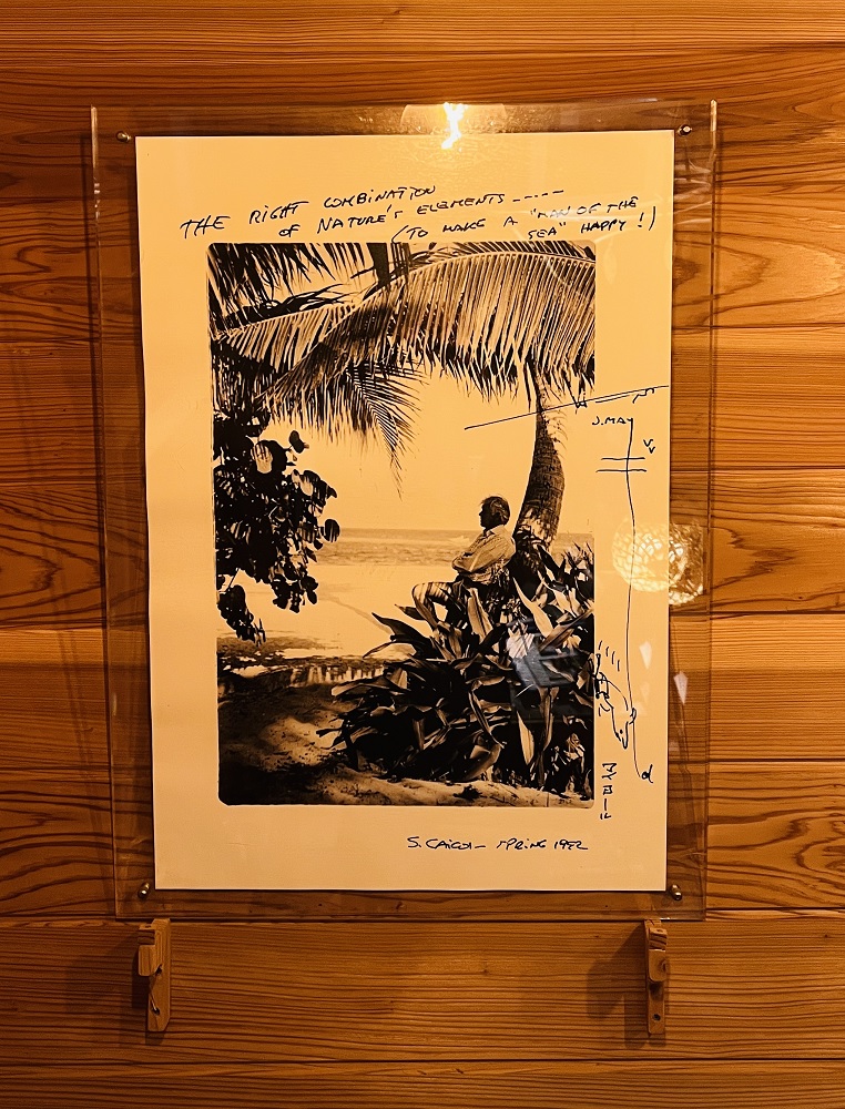 千葉県　坂田　ダイビングポイント　ザトウクジラの骨　ジャクマイヨール