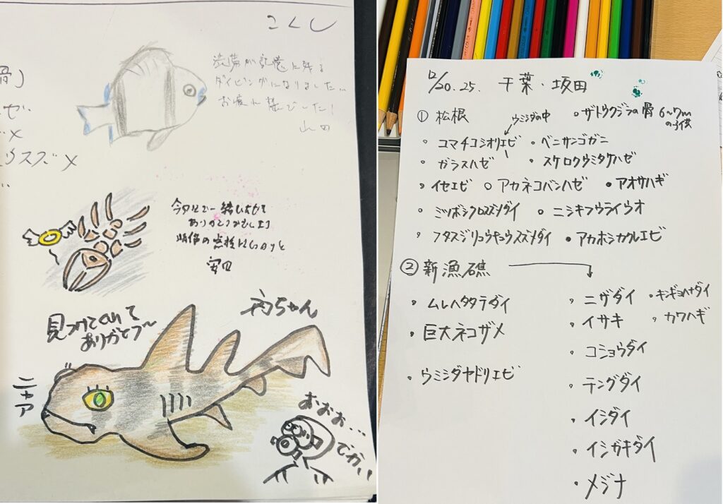 千葉県　坂田　ダイビングポイント　ザトウクジラの骨　ジャクマイヨール