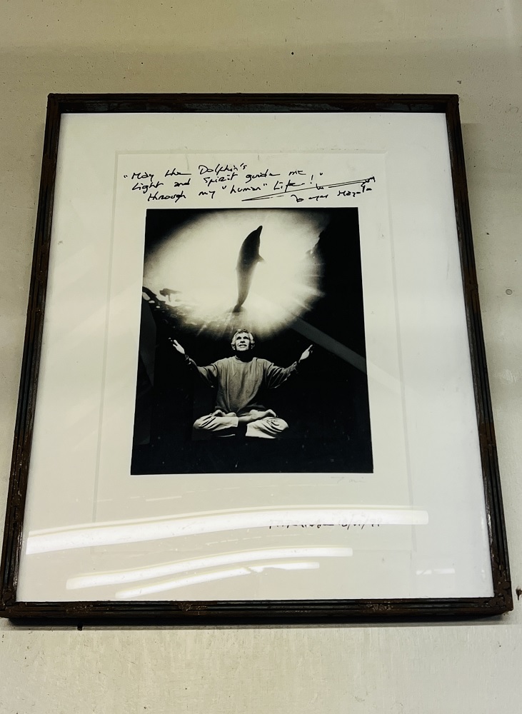 千葉県　坂田　ダイビングポイント　ザトウクジラの骨　ジャクマイヨール