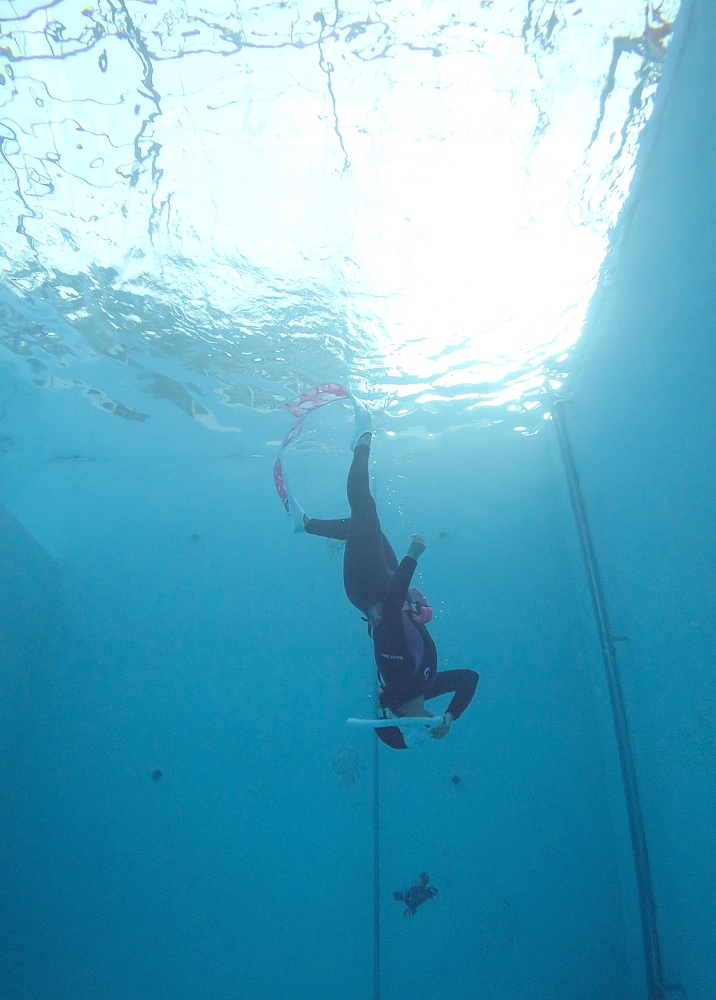 スキンダイビング講習　屋内プール　ジャックナイフ