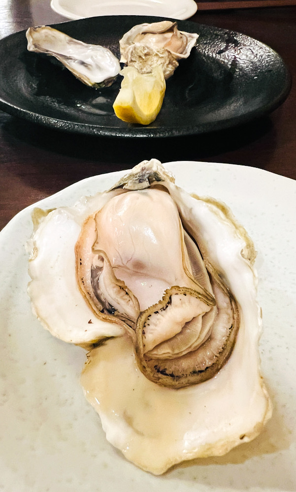 鎌倉　大船　ダイビングショップ　飲み会