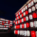 ダイビングショップ　鎌倉　ラウト　新年