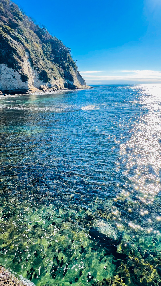 逗子の海　ダイビング　ビーチ　小坪