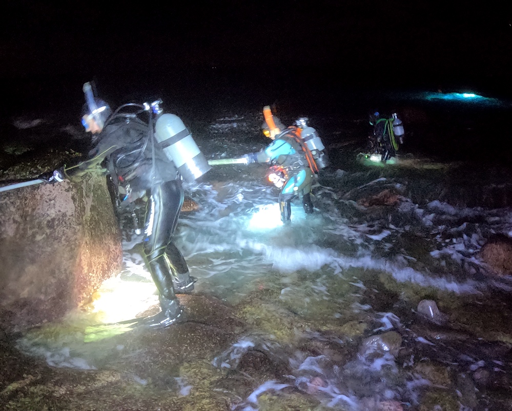 伊豆海洋公園　ナイトダイビング　ウミガメ　大晦日