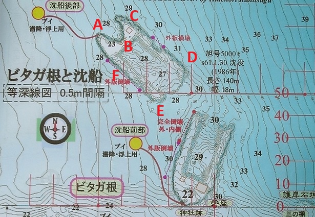 伊豆　熱海沈船ダイビング　レック　ソフトコーラル