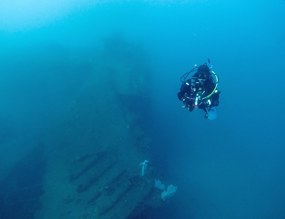 伊豆　熱海沈船ダイビング　レック　ソフトコーラル