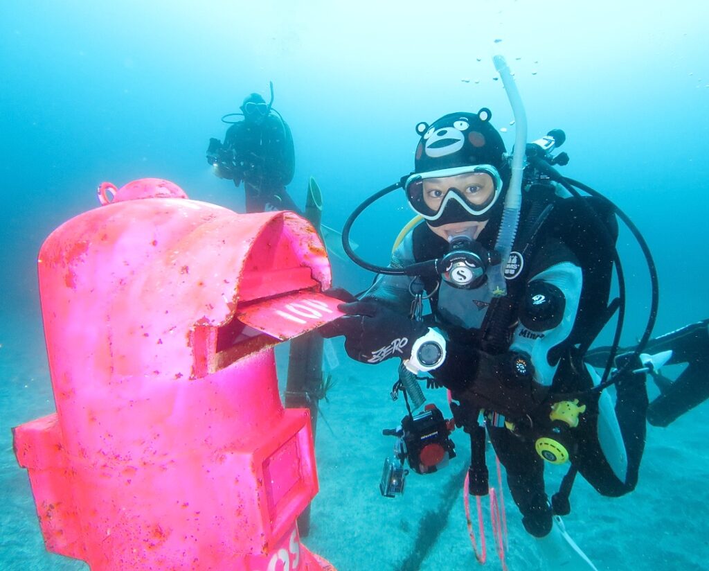 伊豆海洋公園　ナイトダイビング　ウミガメ　大晦日