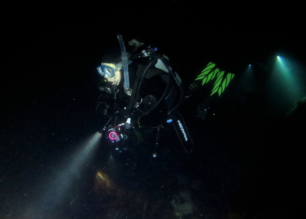伊豆海洋公園　ナイトダイビング　ウミガメ　大晦日