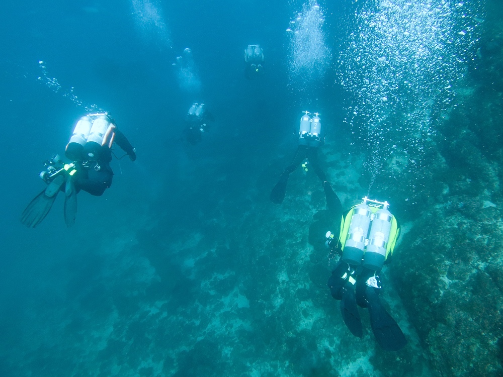 茂野優太 フォトセミナー　ダイビング　水中写真