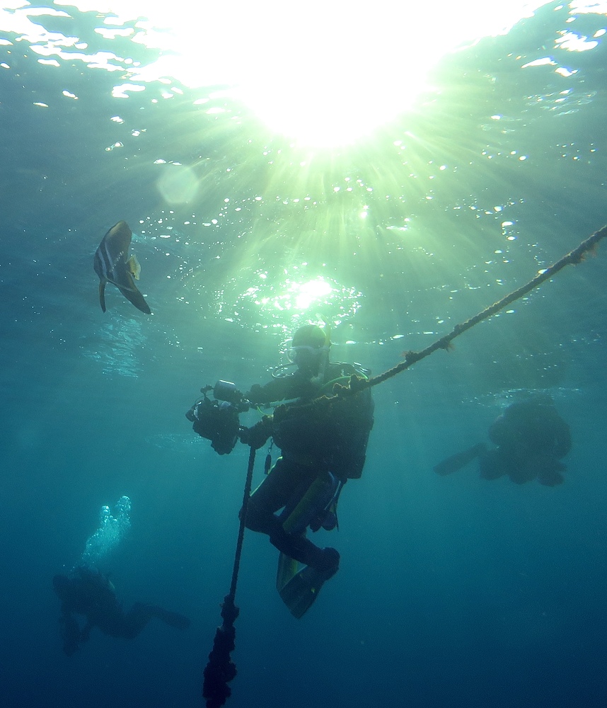 茂野優太 フォトセミナー　ダイビング　水中写真