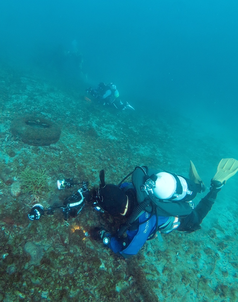 茂野優太 フォトセミナー　ダイビング　水中写真