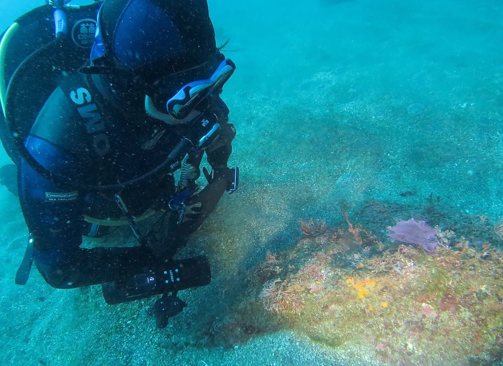 水中スクーター講習 PADI スペシャルティ講習