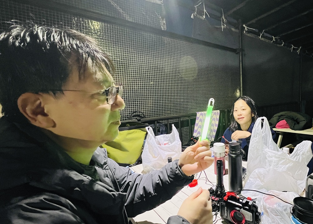 伊豆海洋公園　ナイトダイビング　ウミガメ　大晦日