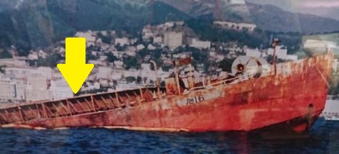 伊豆　熱海沈船ダイビング　レック　ソフトコーラル