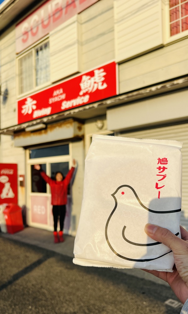 和歌山 串本ダイビングツアー 赤鯱