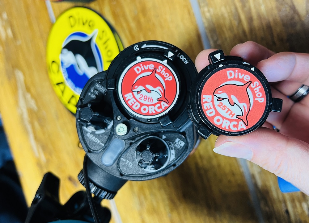 和歌山 串本ダイビングツアー 赤鯱