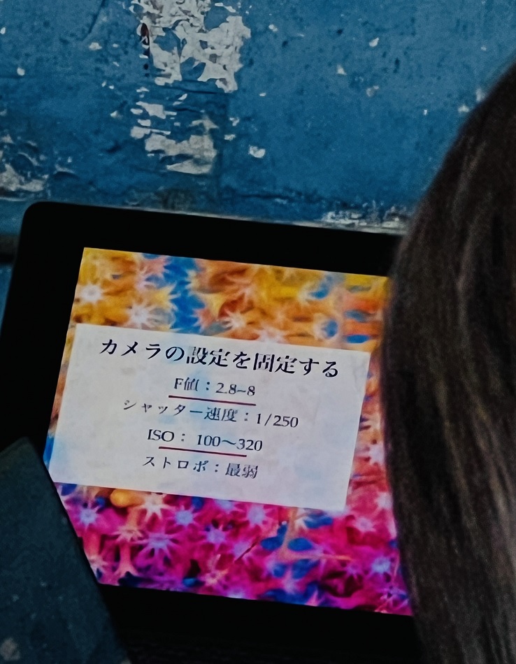 茂野優太 フォトセミナー　ダイビング　水中写真