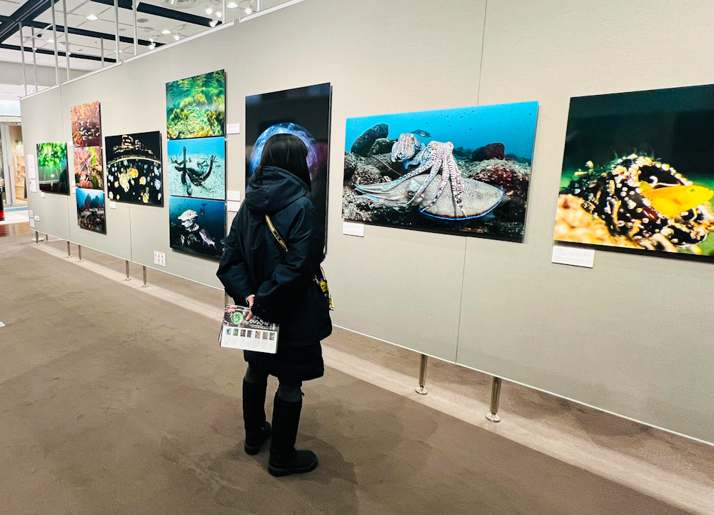 松田康司 写真展 命めぐる海の物語