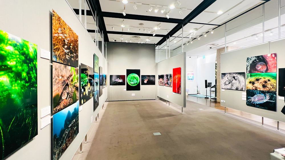 松田康司 写真展 命めぐる海の物語