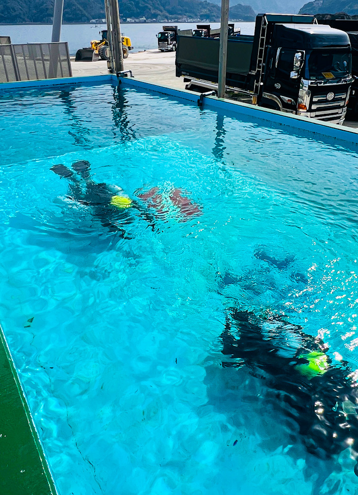 ダイビングショップ　フィンキックトレーニング　伊豆　神奈川