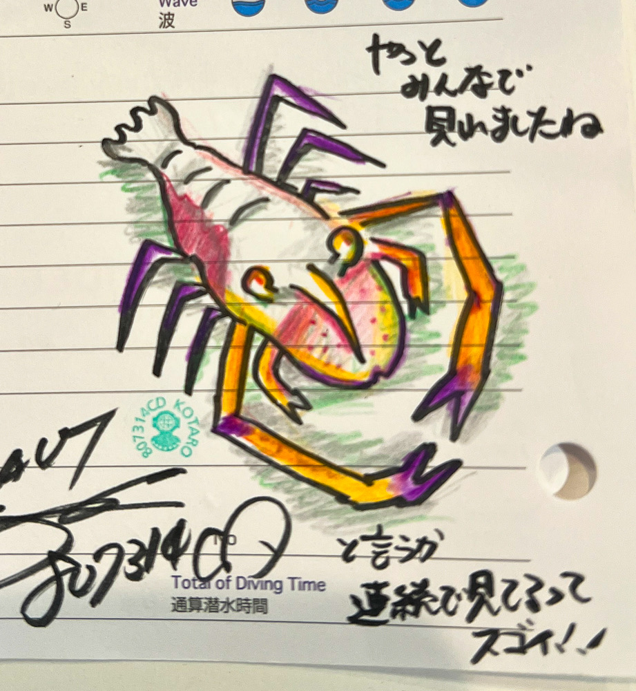 福浦　ダイビング　水中スクーター　ナイトダイビング　ウミウシカクレエビ