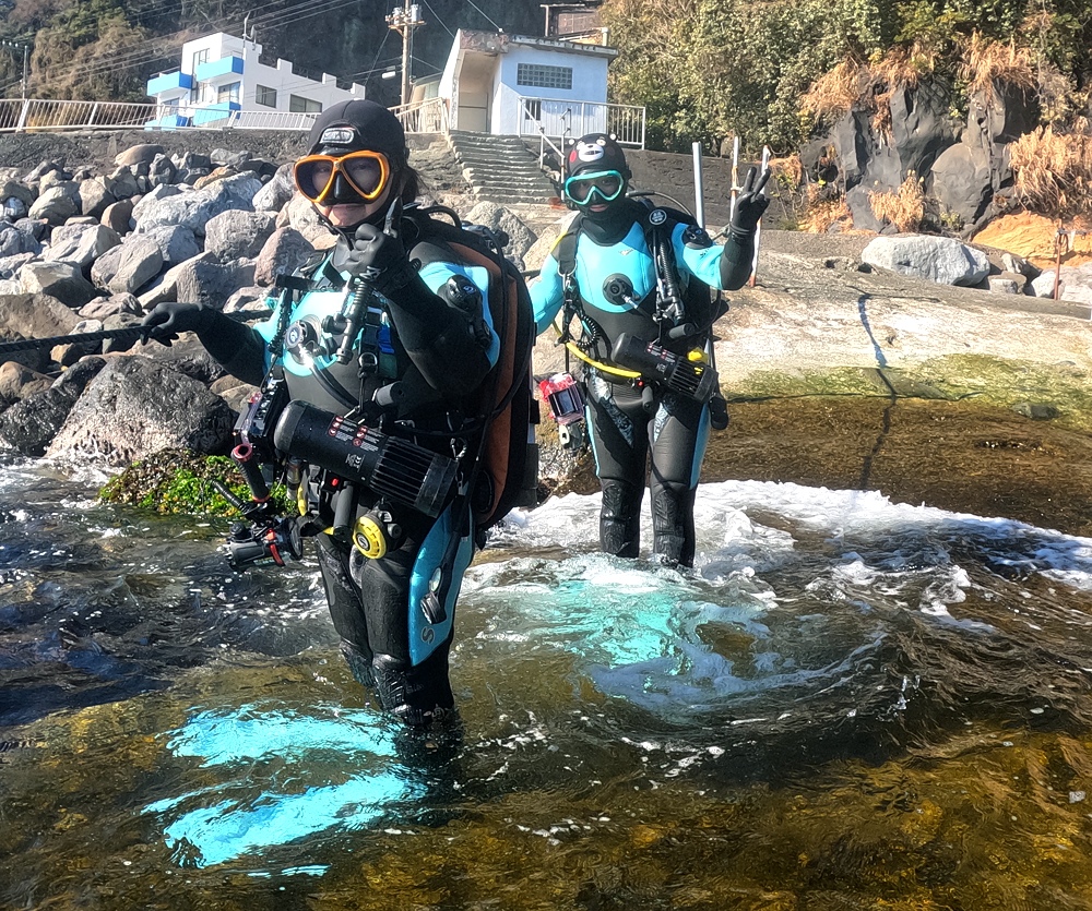 福浦　ダイビング　水中スクーター　ナイトダイビング　ウミウシカクレエビ