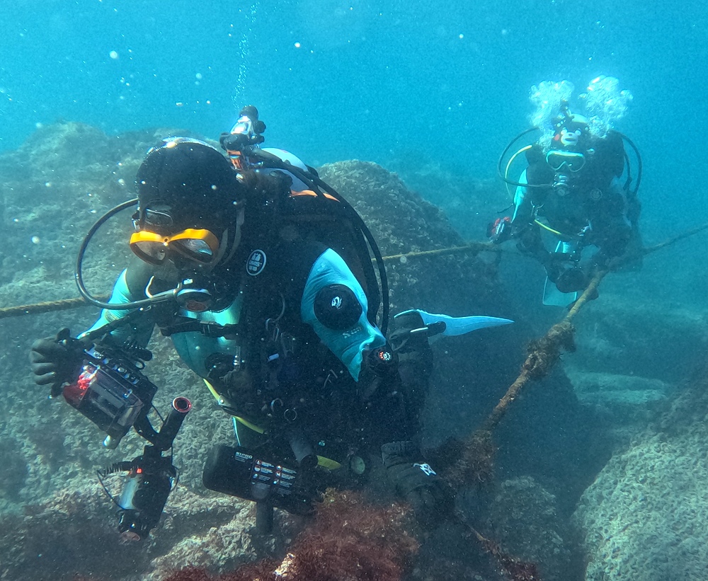 福浦　ダイビング　水中スクーター　ナイトダイビング　ウミウシカクレエビ