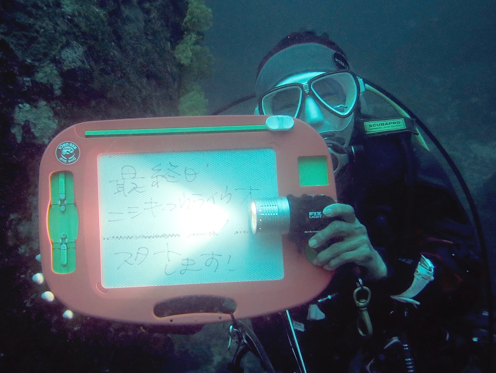 串本　ダイビング　南紀　赤鯱　ウミウシ