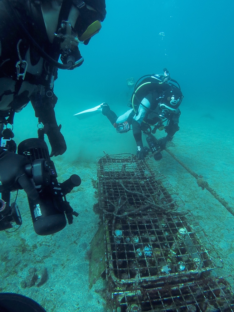福浦　ダイビング　水中スクーター　ナイトダイビング　ウミウシカクレエビ