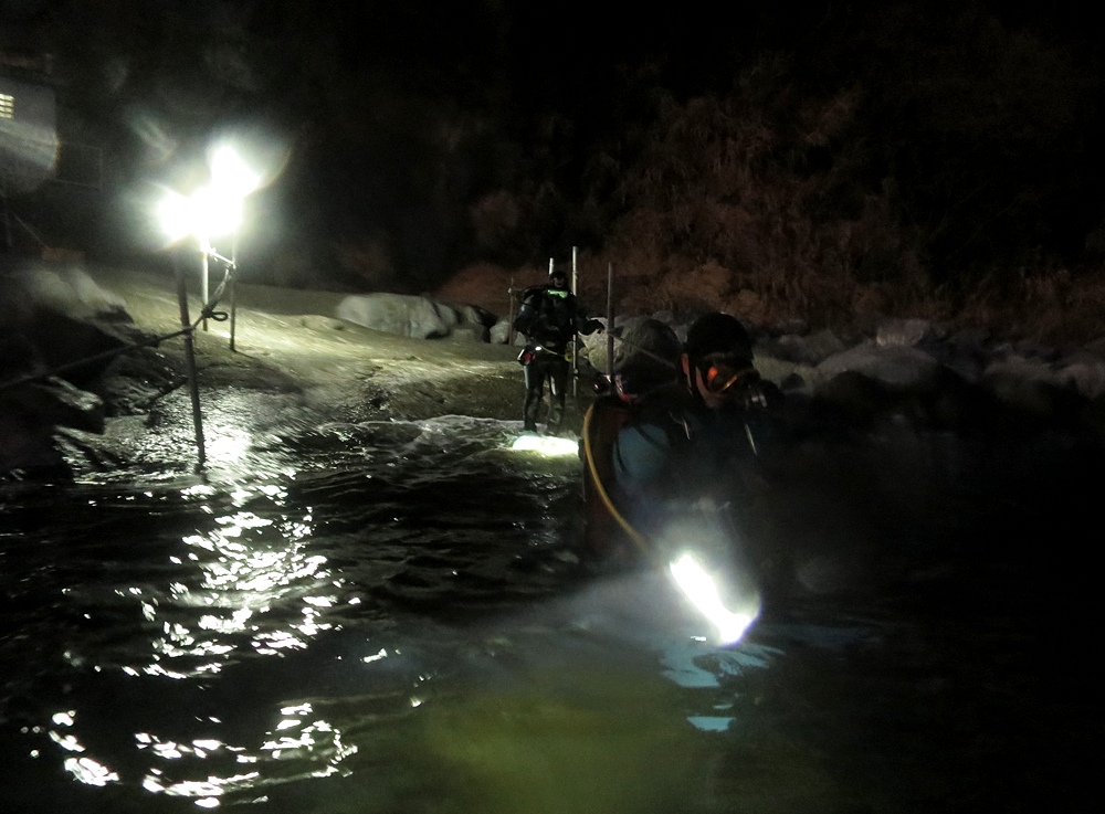 福浦　ダイビング　水中スクーター　ナイトダイビング　ウミウシカクレエビ