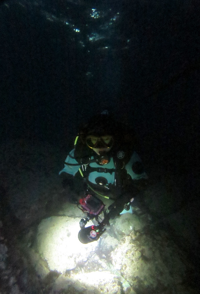 福浦　ダイビング　水中スクーター　ナイトダイビング　ウミウシカクレエビ