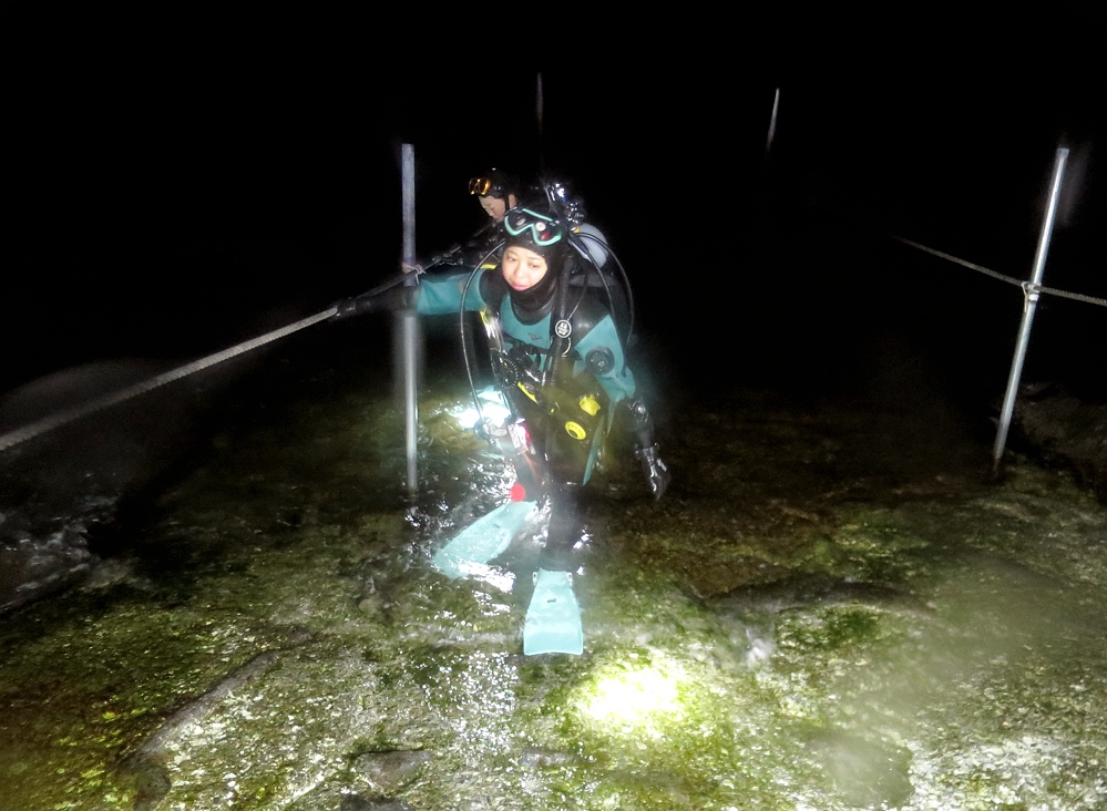 福浦　ダイビング　水中スクーター　ナイトダイビング　ウミウシカクレエビ