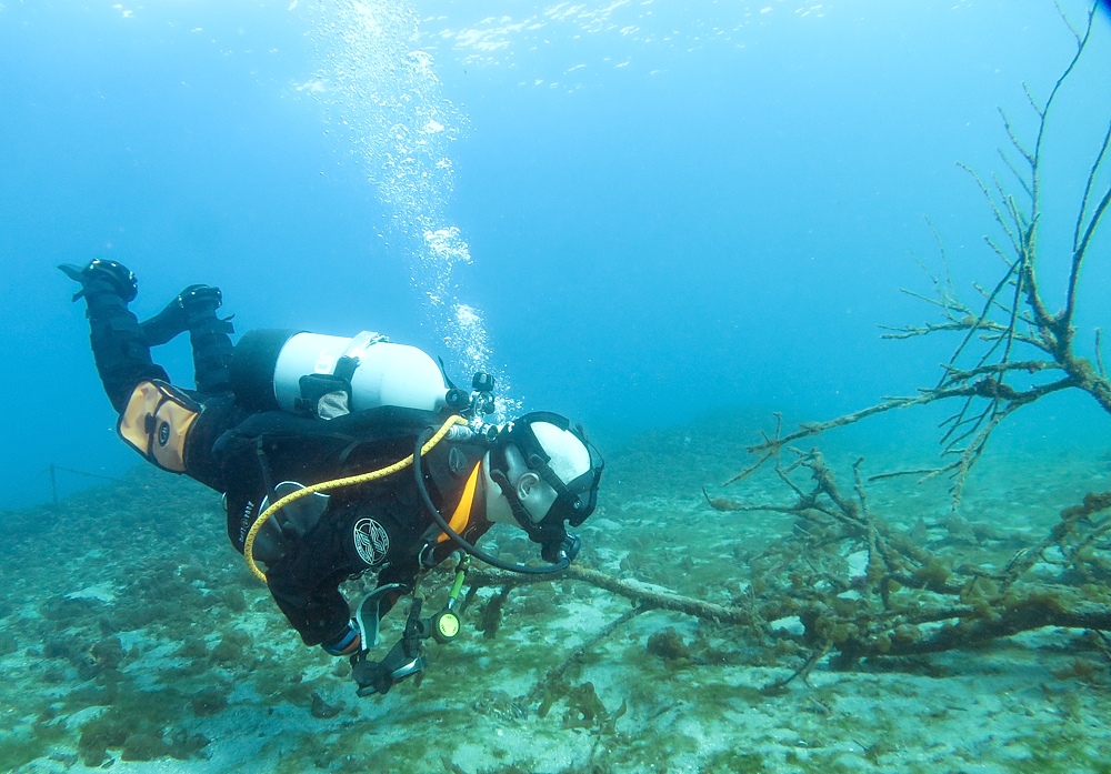 フルフェイスマスクSP講習　PADI　城ヶ島ダイビング